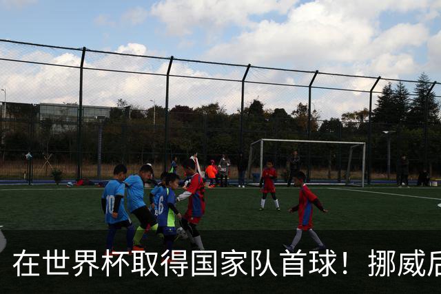 在世界杯取得国家队首球！挪威后卫彼得森：这种高兴无以言表