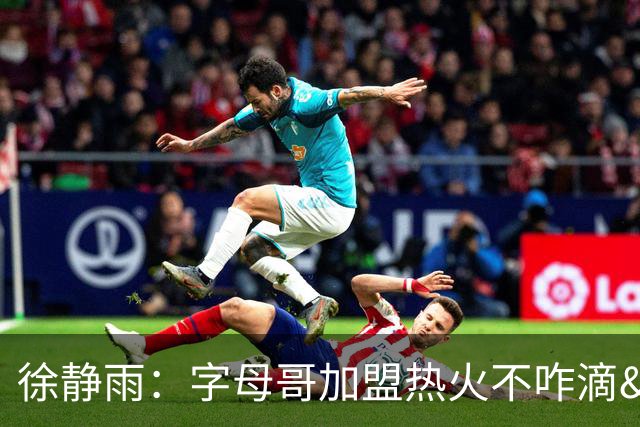 徐静雨：字母哥加盟热火不咋滴&价格卖低了 不如去绿军联手塔图姆